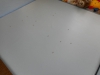 dscn0652