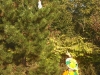 dscf3788