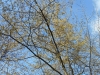 dscn0749
