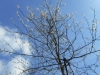 dscn0750