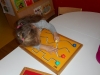 dscn0270