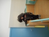 dscn0016_0