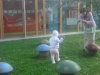 dscf0176