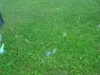 dscf0198
