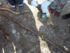 dscn0872