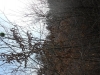 dscn0091